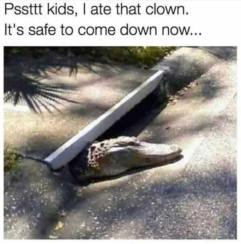 Crocodile with a white barrier on its head, caption about eating a clown and coming down safely.