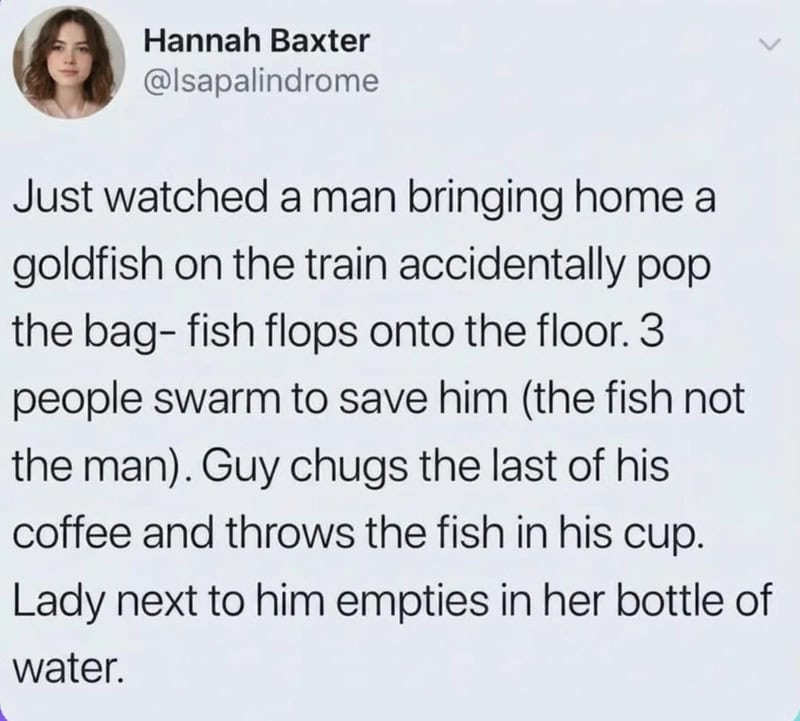 A tweet about a man bringing home a goldfish that he accidentally pops on the train, with people sw-.