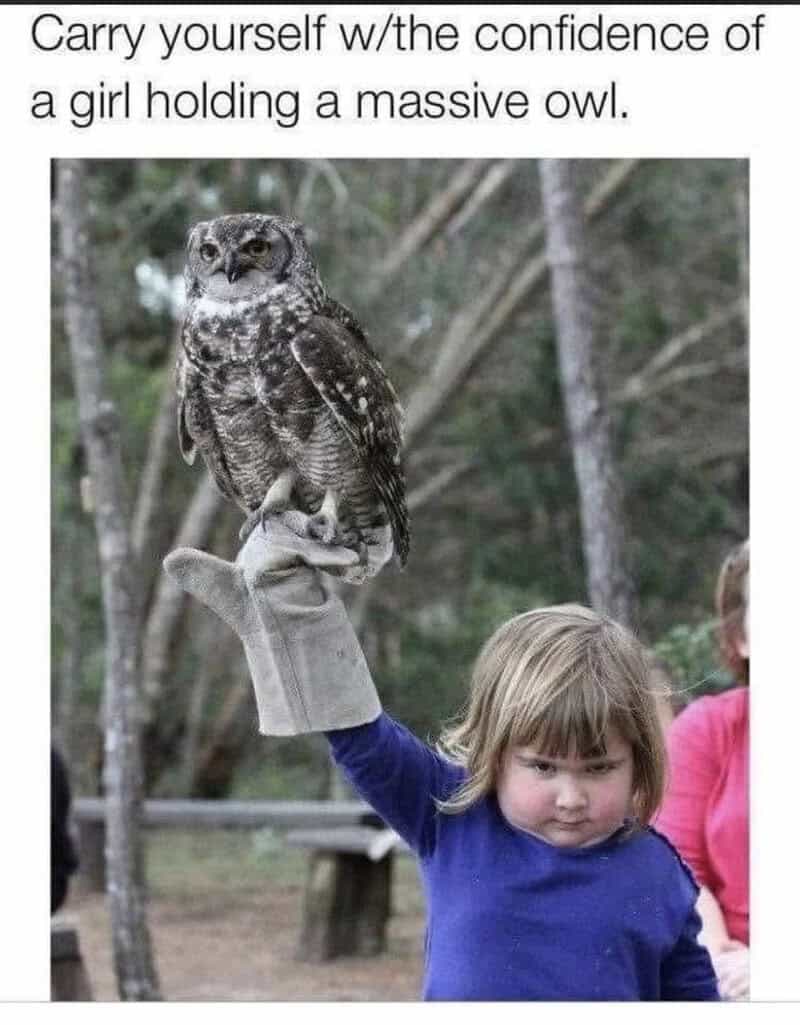 Girl holding a large owl with confidence in a forest setting.