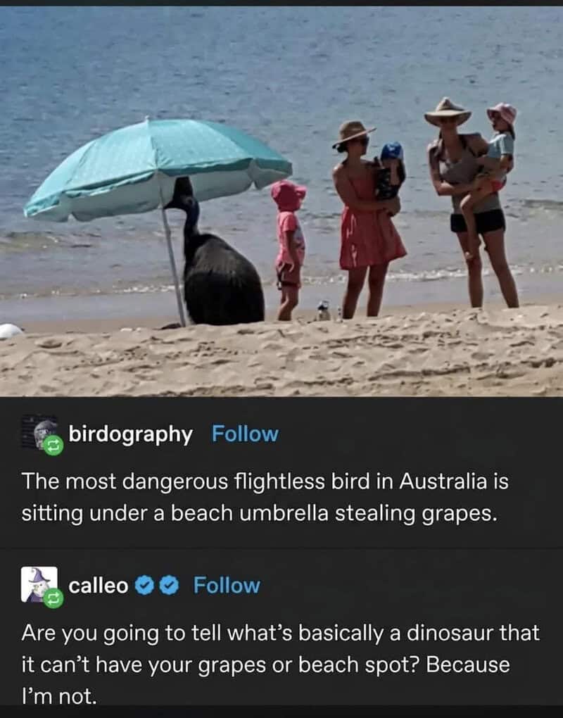 A bird sitting under a beach umbrella near a group of people and an emu on the beach.