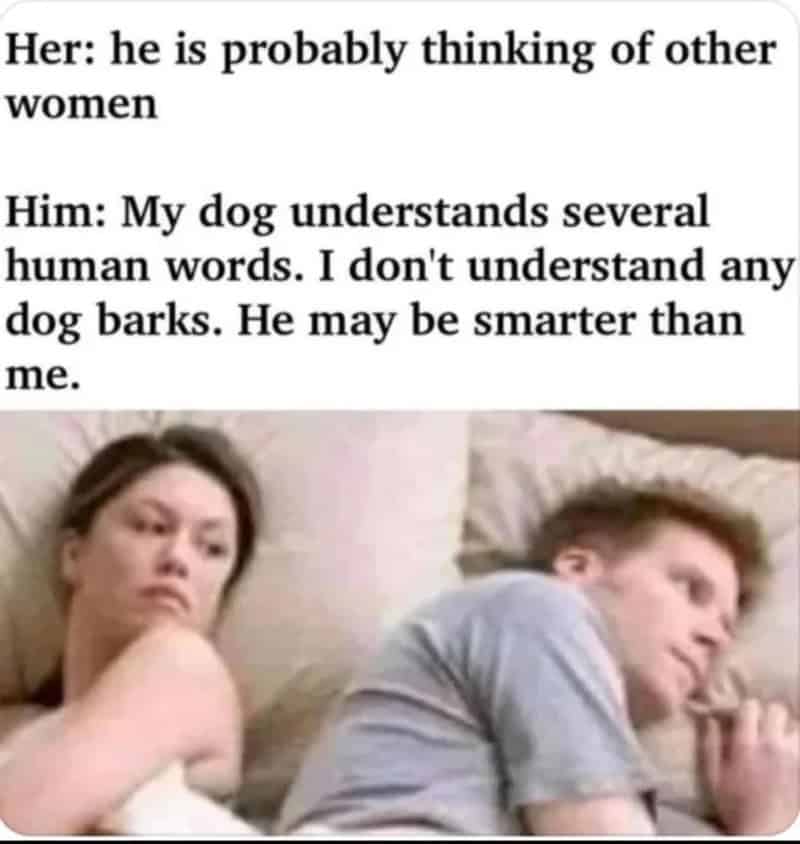 He is probably thinking of other women. Him: My dog understands several human words.