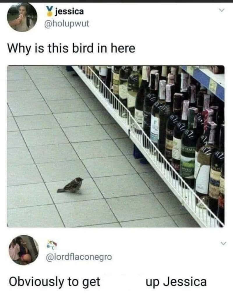 Bird on store floor near wine bottles, with caption about why it's there.