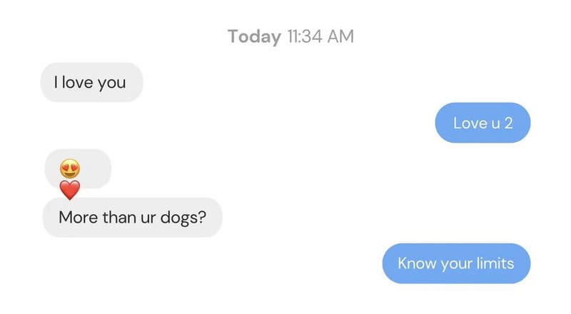 Text message conversation about love and dogs with emojis.