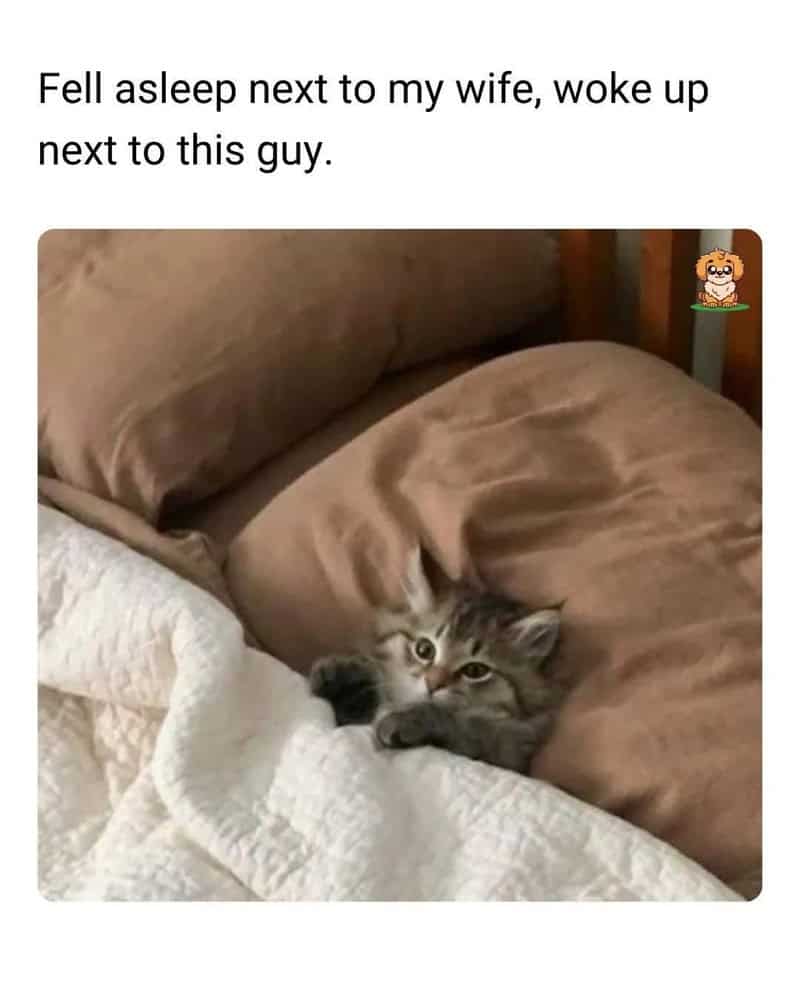 Fell asleep next to my wife, woke up next to this guy.