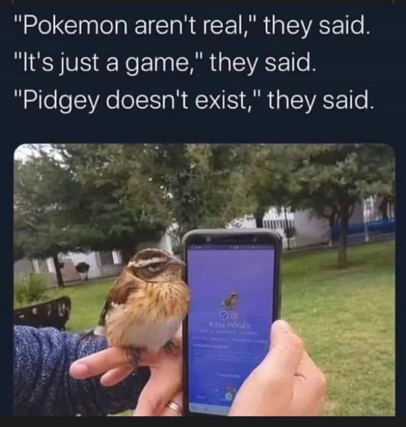 Bird perched on finger with phone showing Pidgey from Pokémon, meme about Pokémon not being real.