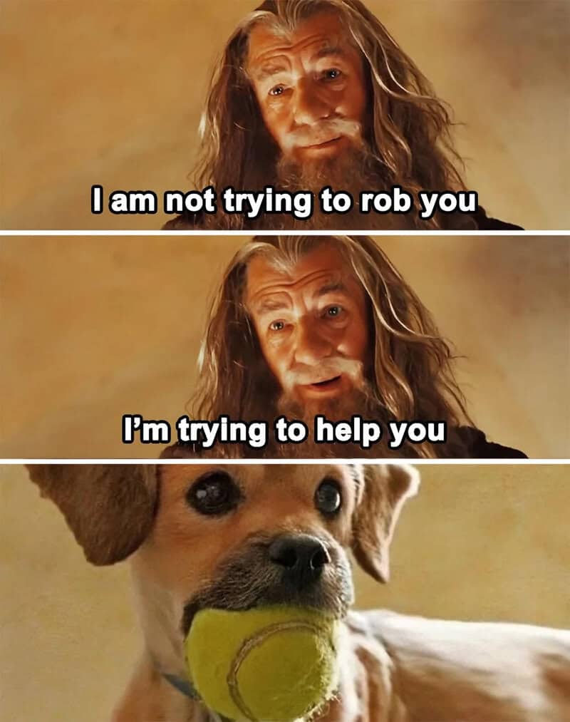 Meme with Gandalf and a dog with a tennis ball, saying 'I am not trying to rob you, I'm trying to帮.
