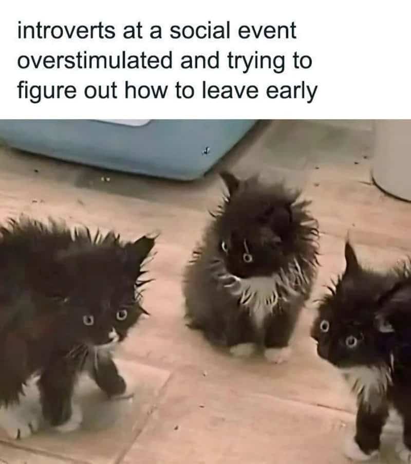 Introverts at a social event overstimulated and trying to figure out how to leave early.