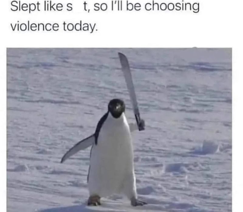 Penguin holding a sword on snow with the caption about choosing violence.