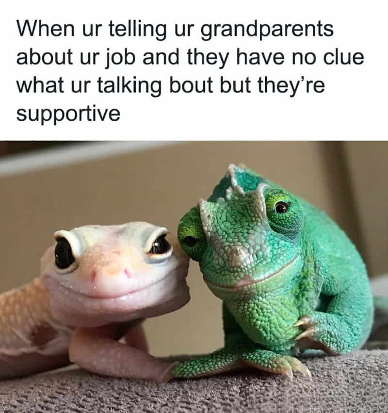Gecko and salamander with humorous caption about supporting grandparents.