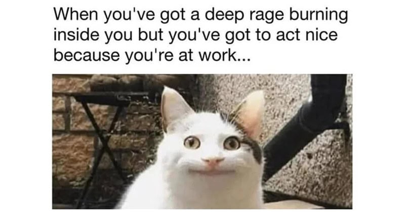 Cat with a funny face and wide eyes, caption about deep rage inside.