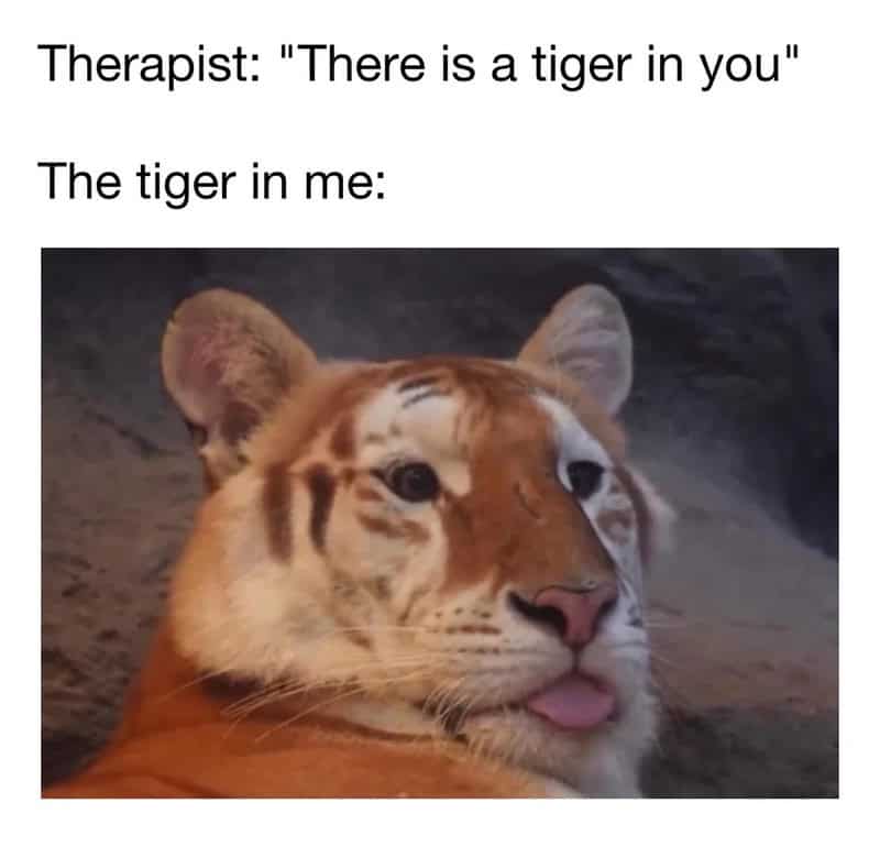 "There is a tiger in you" The tiger in me:.