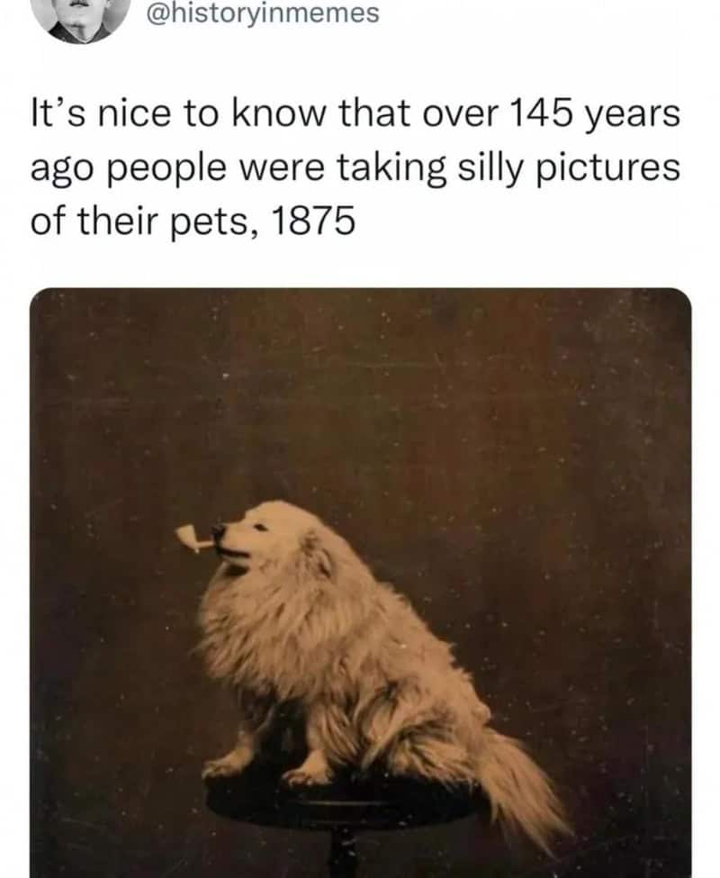 Vintage photo of a dog with a pipe, caption about 145 years ago pet photos.