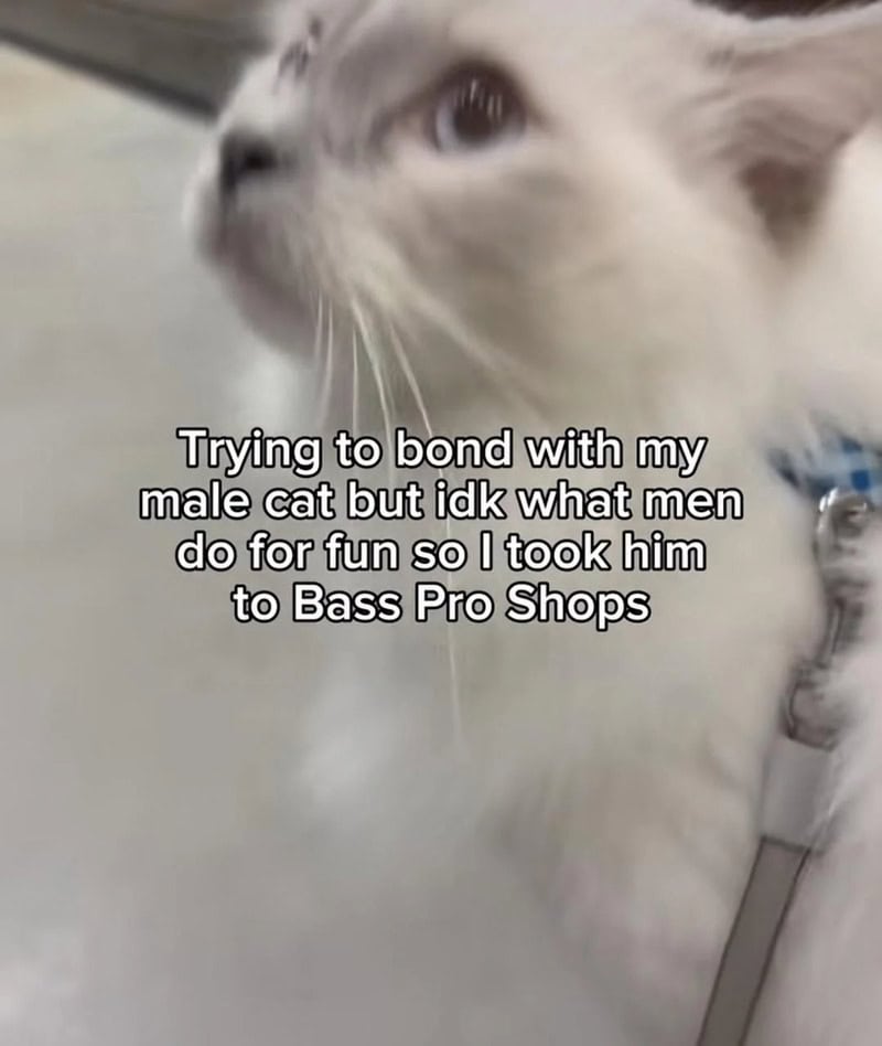Trying to bond with my male cat but idk what men do for fun so I took him to Bass Pro Shops.