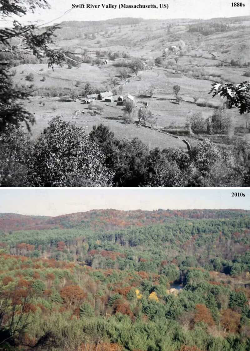 Comparison of Swift River Valley in 1880s and 2010s showing landscape changes.