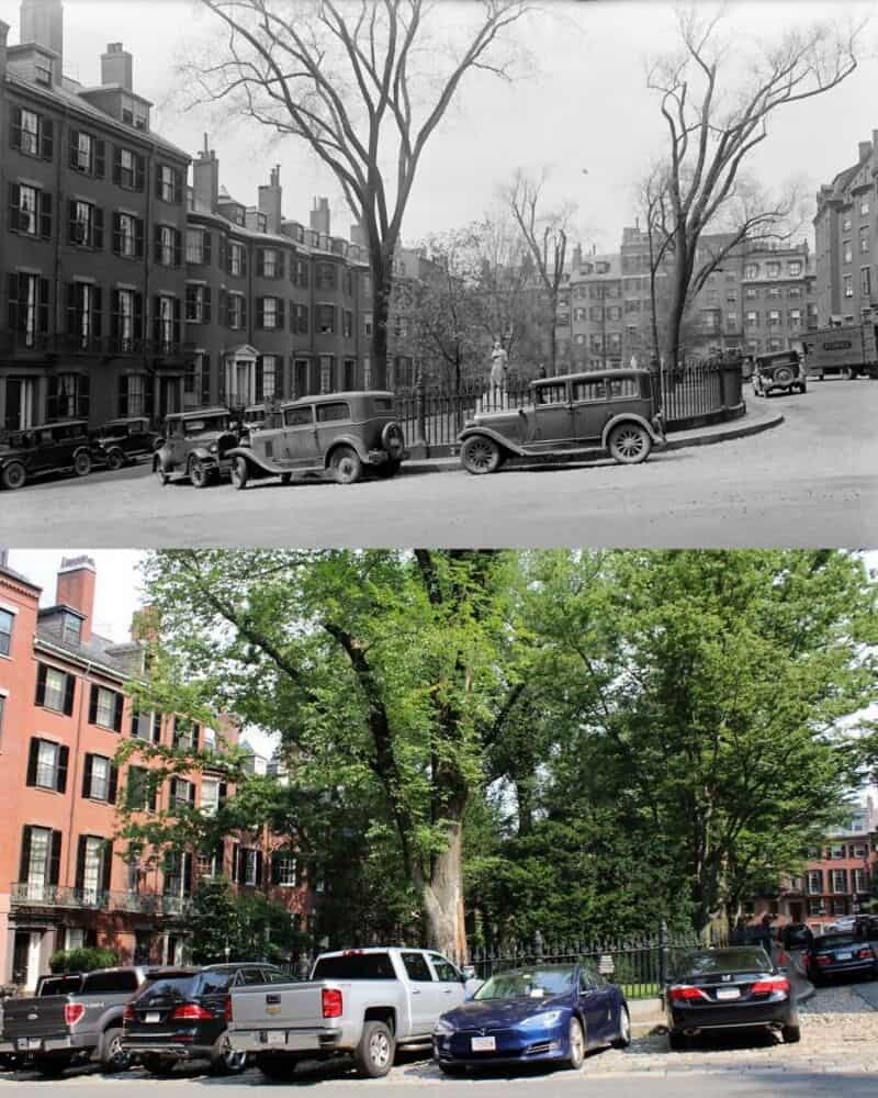 Before and after images of a city street with trees and parked cars.