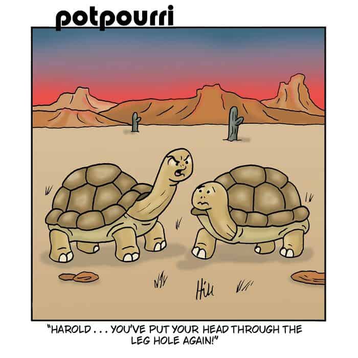 Two turtles in a desert with mountains, one speaking to the other.