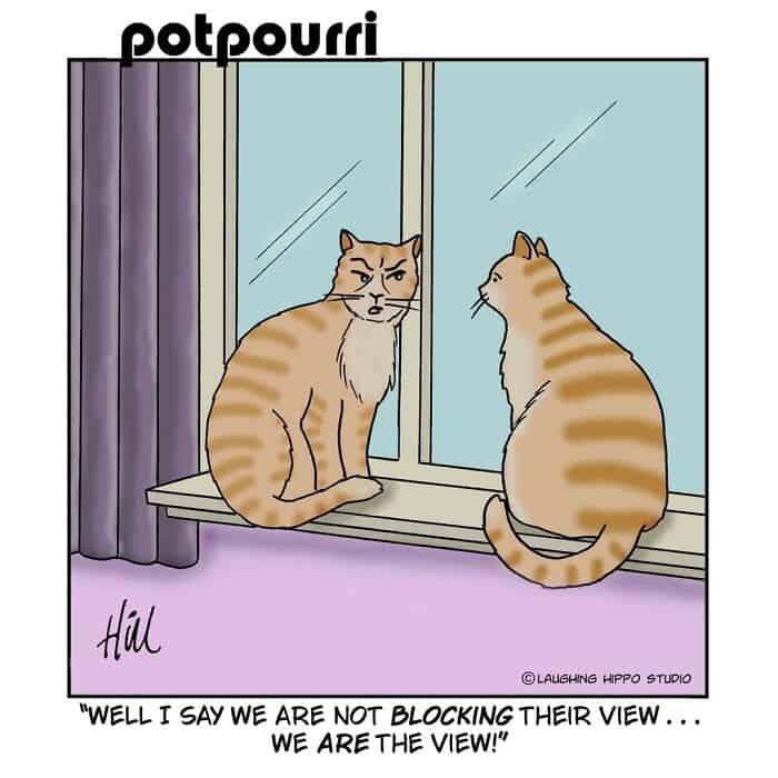 WELL I SAY WE ARE NOT BLOCKING THEIR VIEW... WE ARE THE VIEW!.