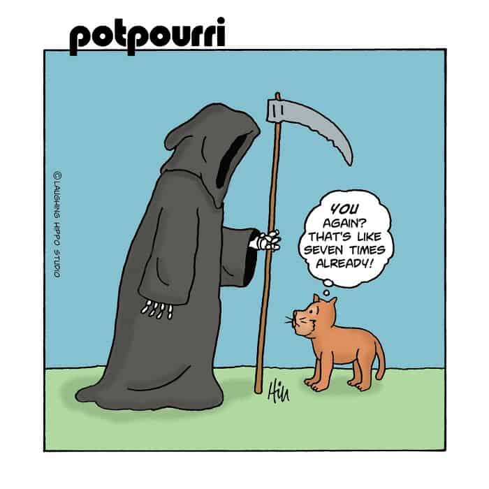 Grim Reaper with a scythe and a cat, cartoon style, humorous scene.
