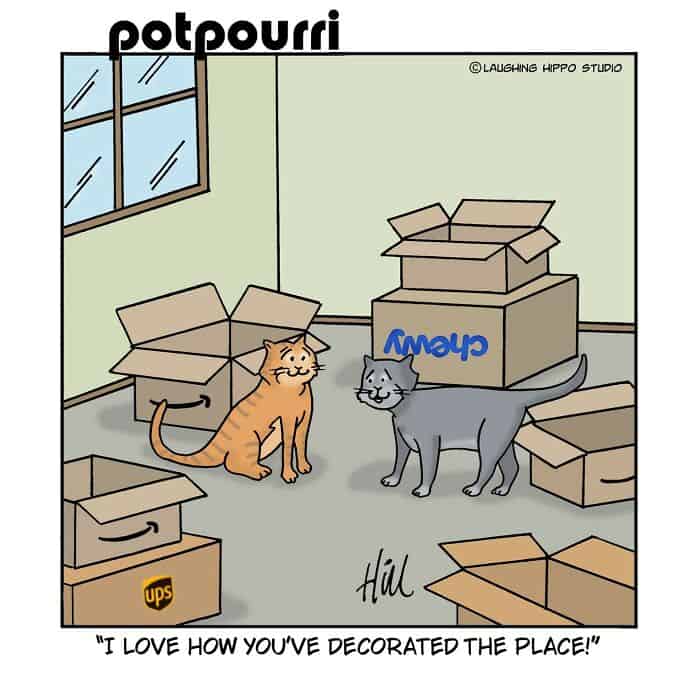 Cats enjoying a room filled with moving boxes and packing supplies.