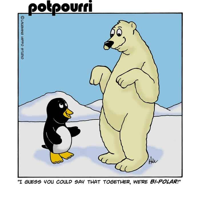Penguin and polar bear with the caption "I guess you could say that together, we're BI-POLAR!".