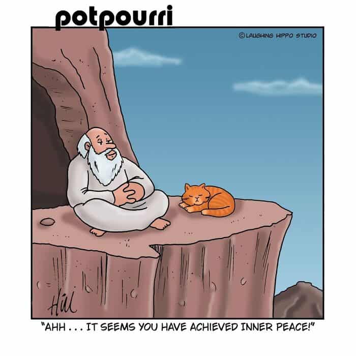Relaxed old man meditating on a cliff with a sleeping orange cat, enjoying inner peace.