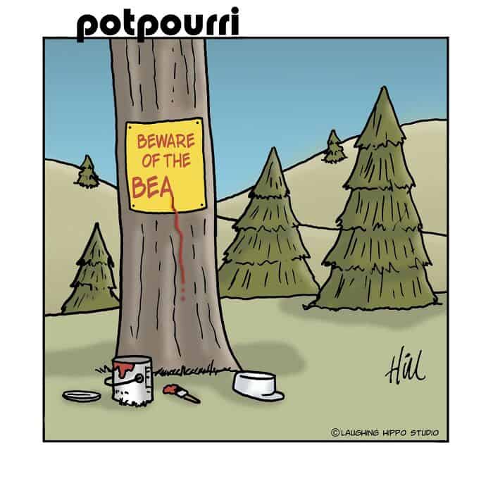 BEWARE OF THE BEA sign on the tree trunk with trash and a can in the forest.