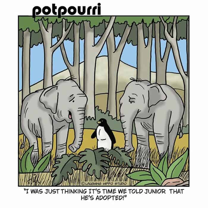 Elephants and penguin in forest with humorous caption about adoption.