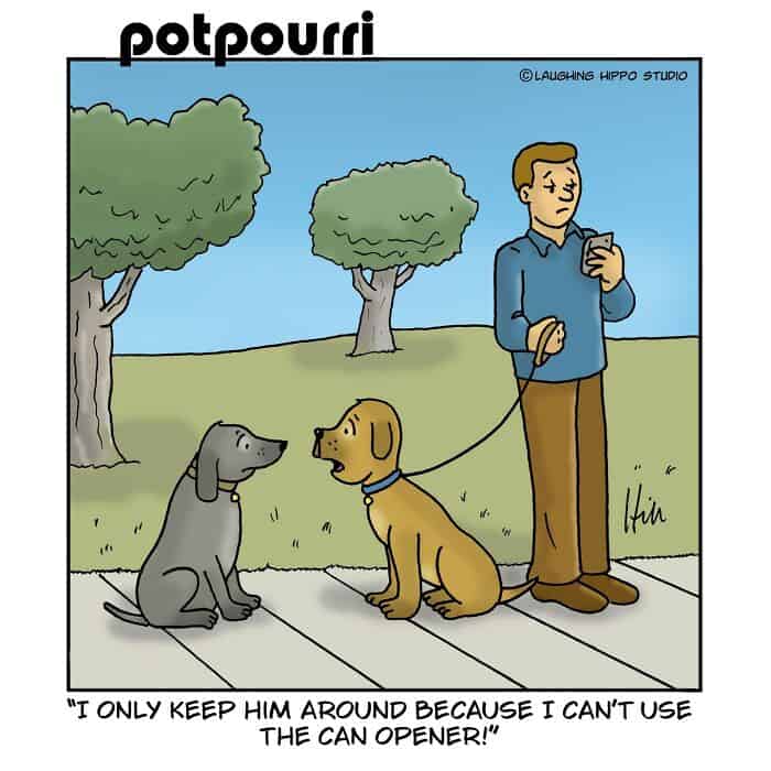 Man walking two dogs, one with a can opener, in park scene.