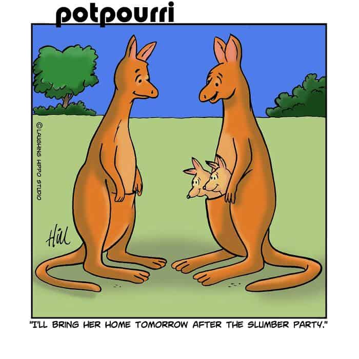 Potpourri.