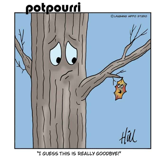 Sad tree with a worried face and a falling leaf, expressing farewell.