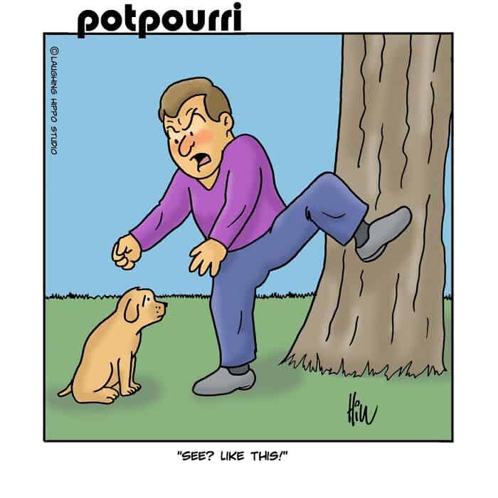 Clumsy man kicking a tree with a puppy sitting nearby, showing a humorous mistake.