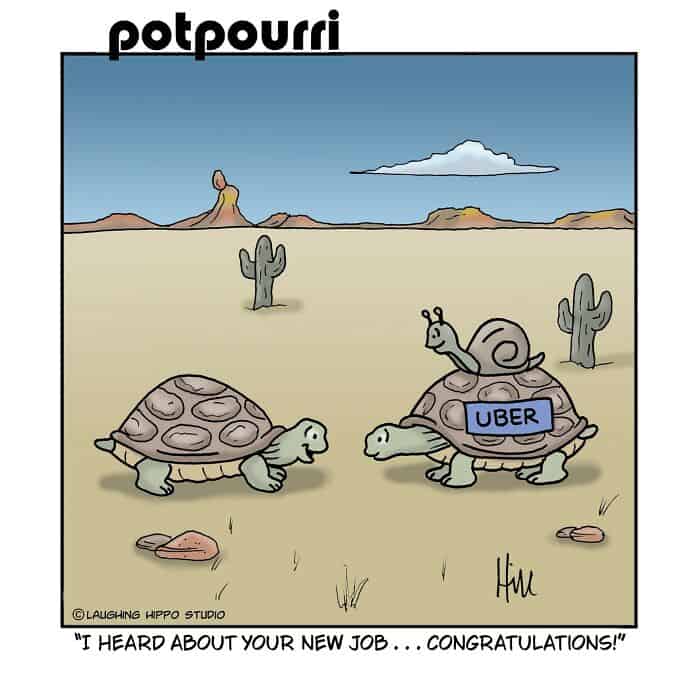 Potpourri.