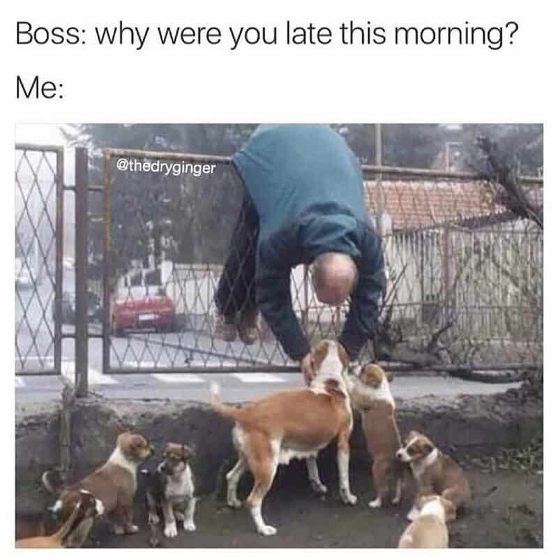 Person bending over with puppies around, caption about being late to work.