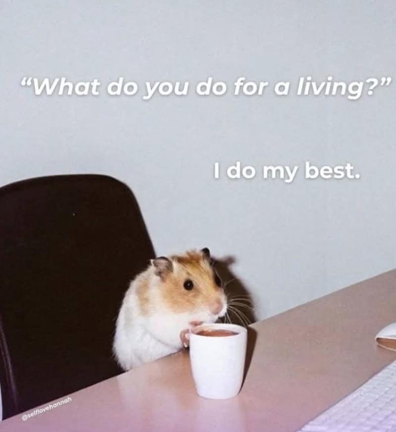 Hamster sitting at a table with a coffee mug, quote: "What do you do for a living?" I do my best.