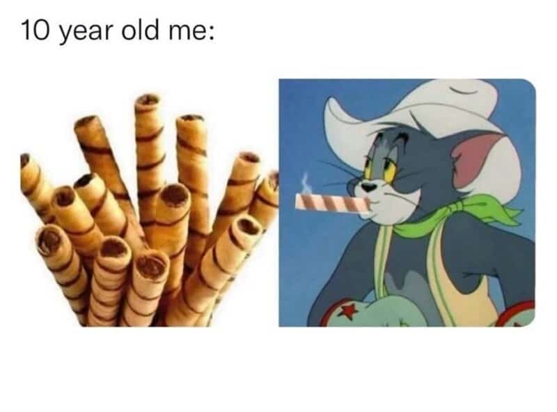 10 year old me: cookies and Tom from Tom and Jerry with a cookie in his mouth.
