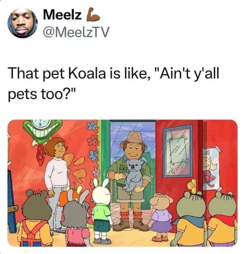 Pet koala with humans and animals, colorful background, children and a man with a koala.