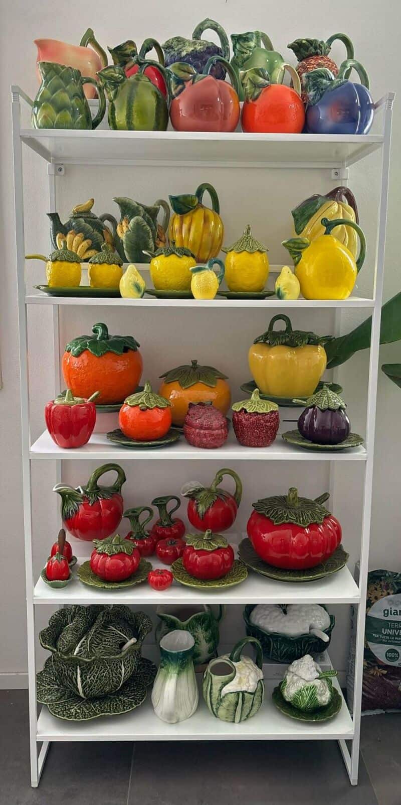 Colorful collection of peppers, squashes, and gourds on a white shelf.