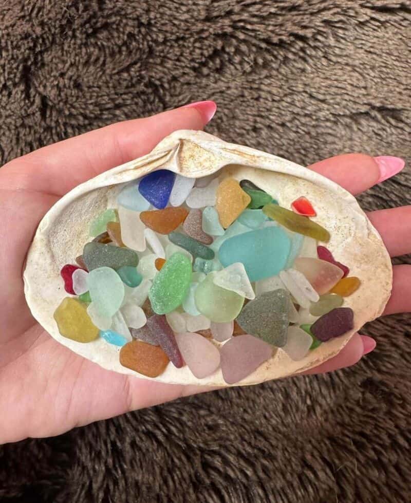 Colorful sea glass in a shell, held by a hand, on a brown furry background.