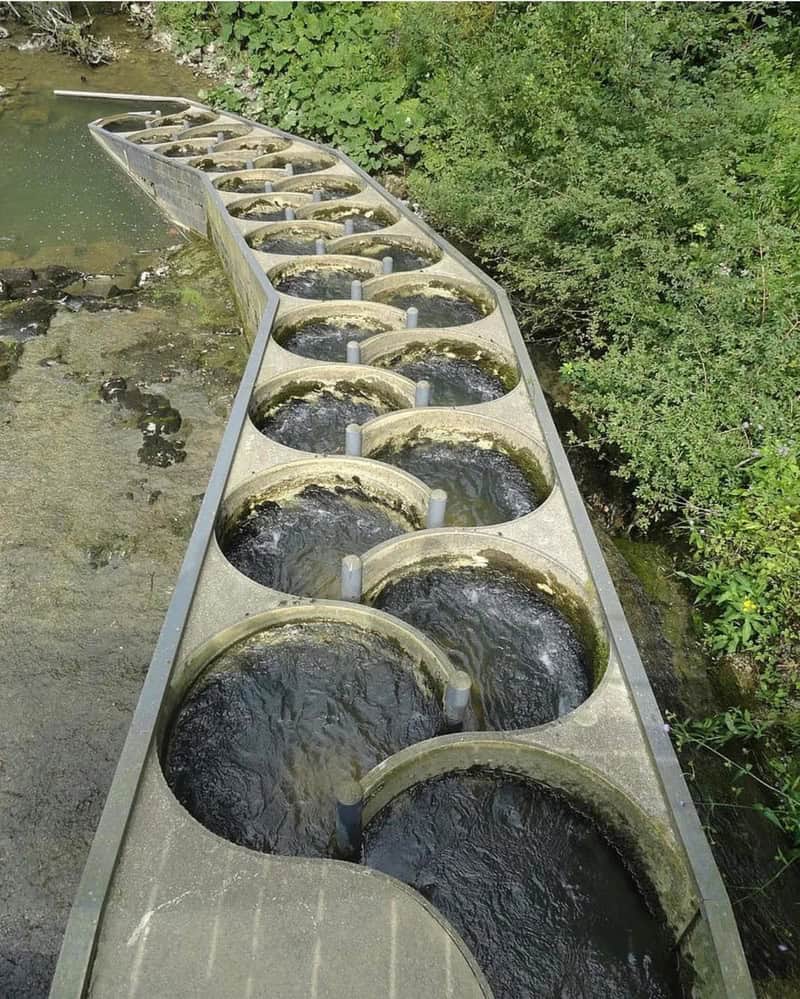 Unique circular water channels on a curved concrete structure in a park.