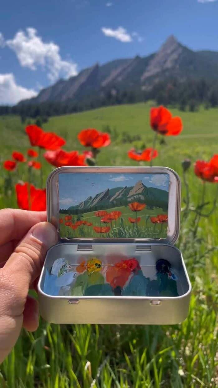 Bright red poppies in a green field with mountains in the background, captured with a smartphone in.