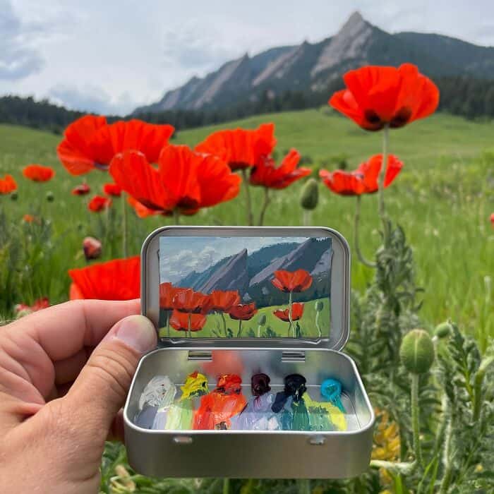 Hand holding a small case with colorful fishing lures in a field of red poppies and mountains in the.