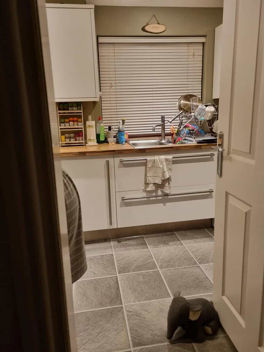 Washing area with sink, dish rack, and cleaning supplies in a kitchen.