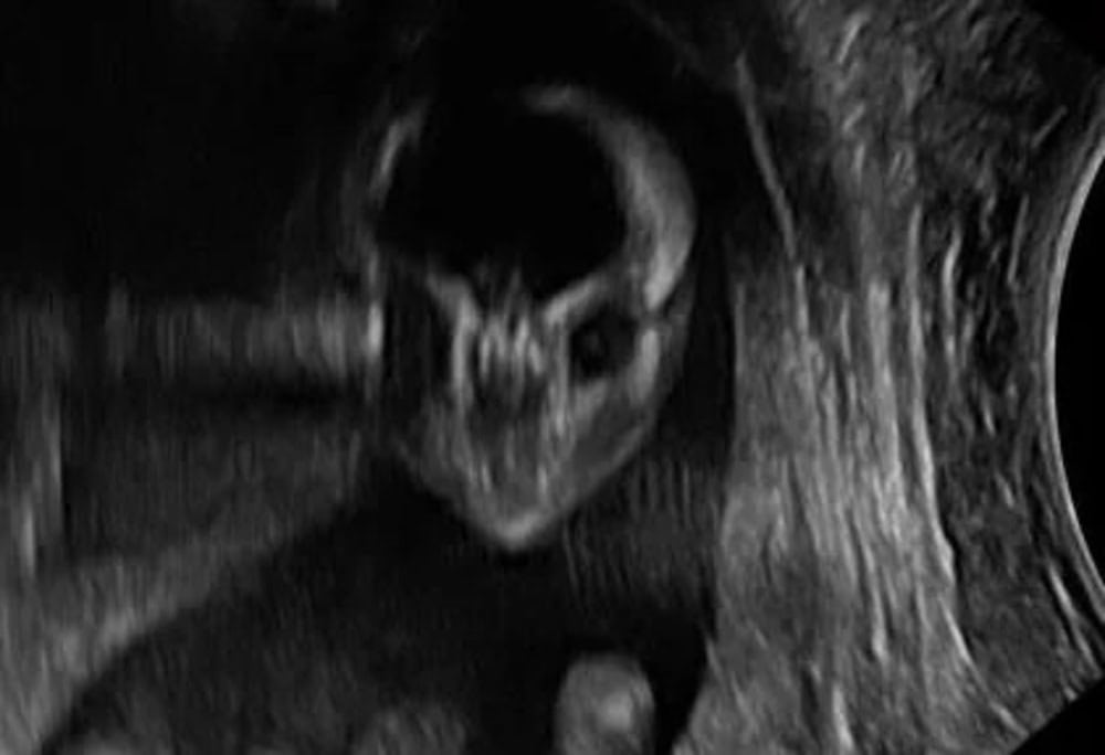 Skull with horns in a dark, eerie setting.