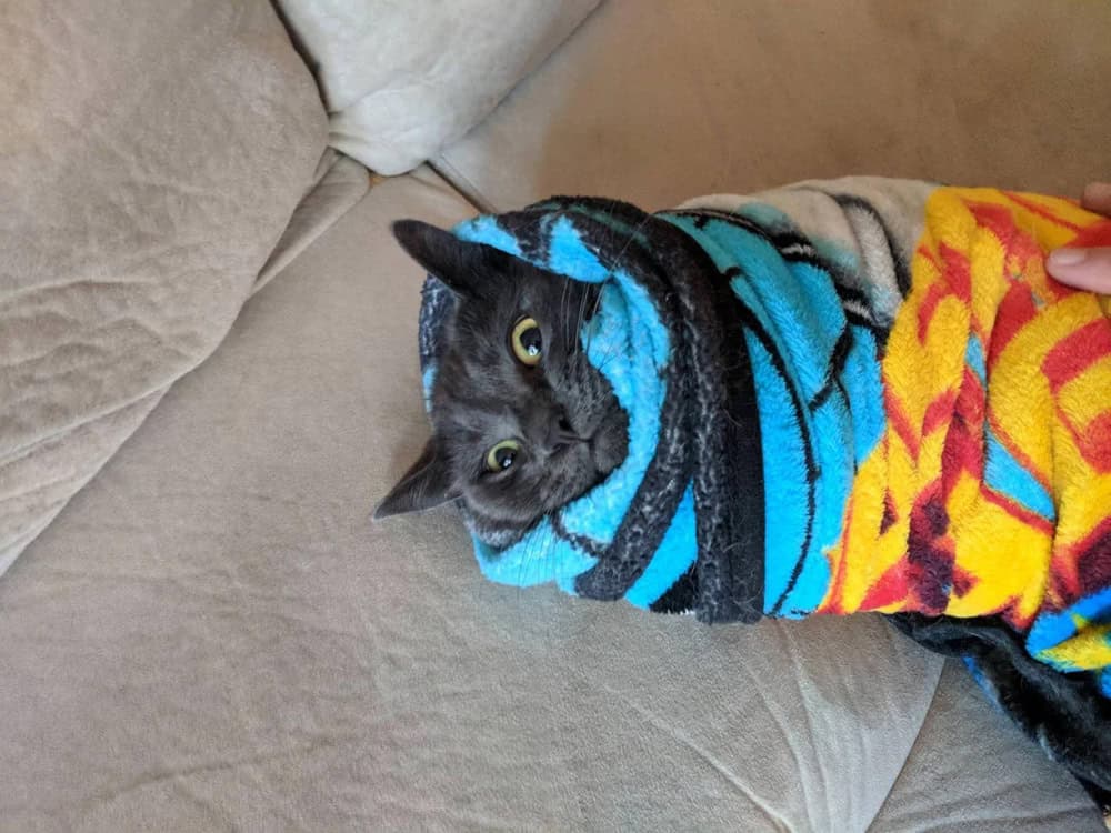 A cozy black cat wrapped in a colorful towel on a beige couch.