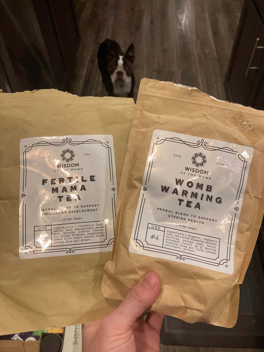 Fertile Mama and Womb Warming Tea herbal tea bags held in front of a dog in a kitchen.