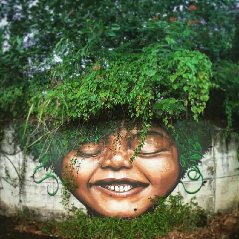 Artistic mural of a smiling face with greenery on the head, on a wall.