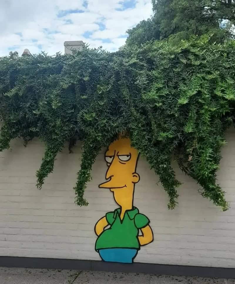 Cartoon character with a plant as hair, standing against a white wall.