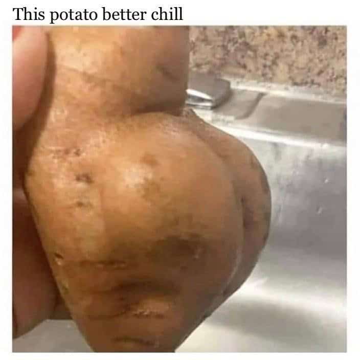 Potato with a humorous shape resembling a human buttocks.