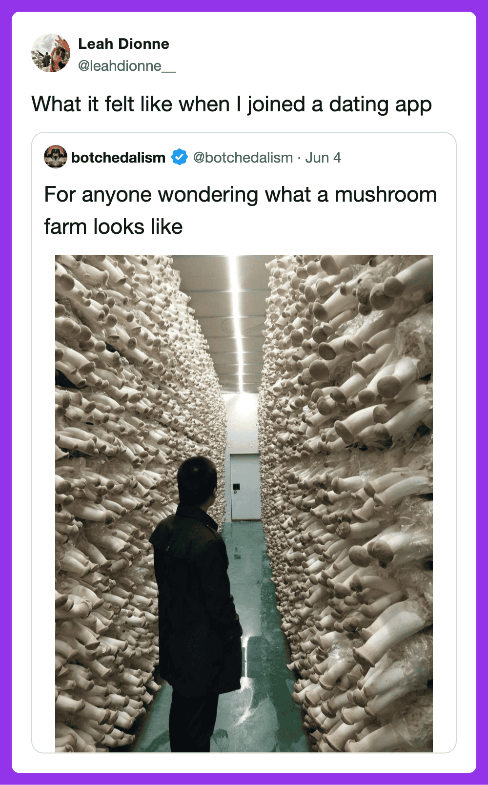 Mushroom farm aisle with rows of white mushrooms on shelves, person looking at them.