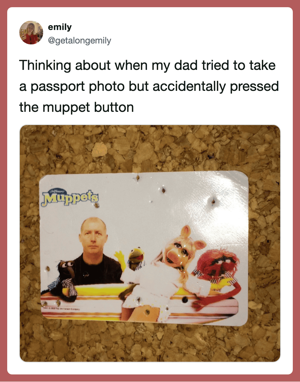 Photo of a Muppet passport photo with a man and Muppet characters, accidental button press.